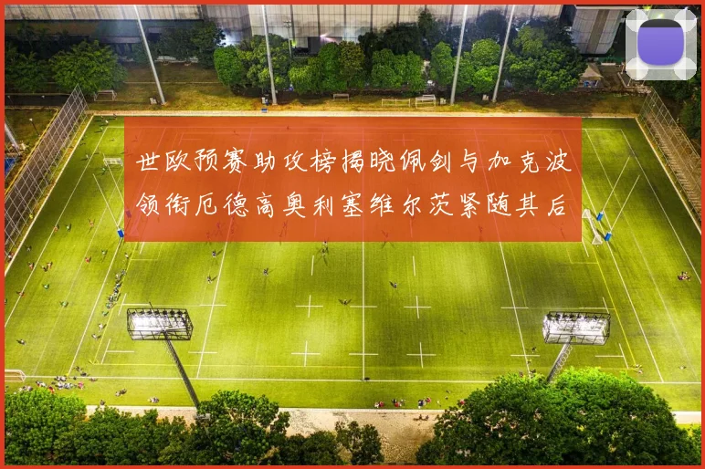 世欧预赛助攻榜揭晓佩剑与加克波领衔厄德高奥利塞维尔茨紧随其后