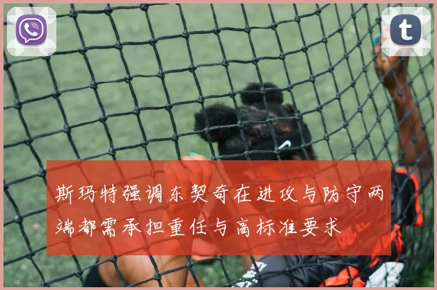斯玛特强调东契奇在进攻与防守两端都需承担重任与高标准要求